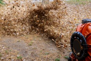 Professional Solutions for a Clean & Pristine Property