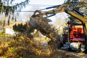 Easily Clear and Safe Tree clean up Services