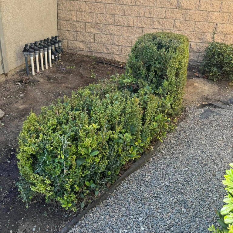 471504707_1241416063604106_8185990667905663667_n