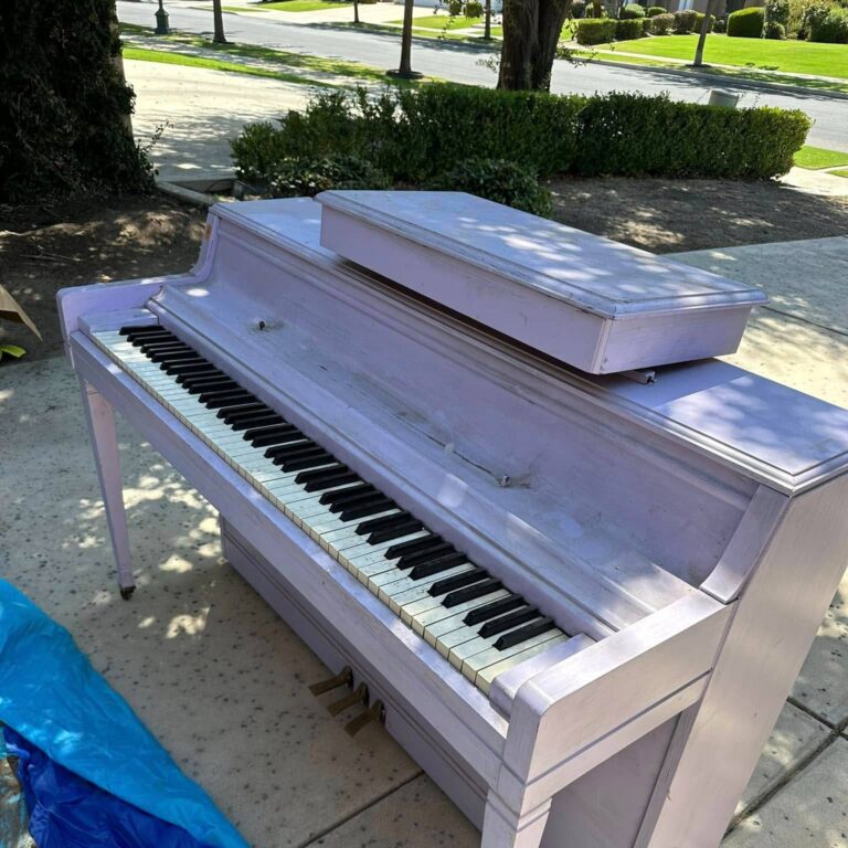 471512484_1241405416938504_6174233856016831901_n