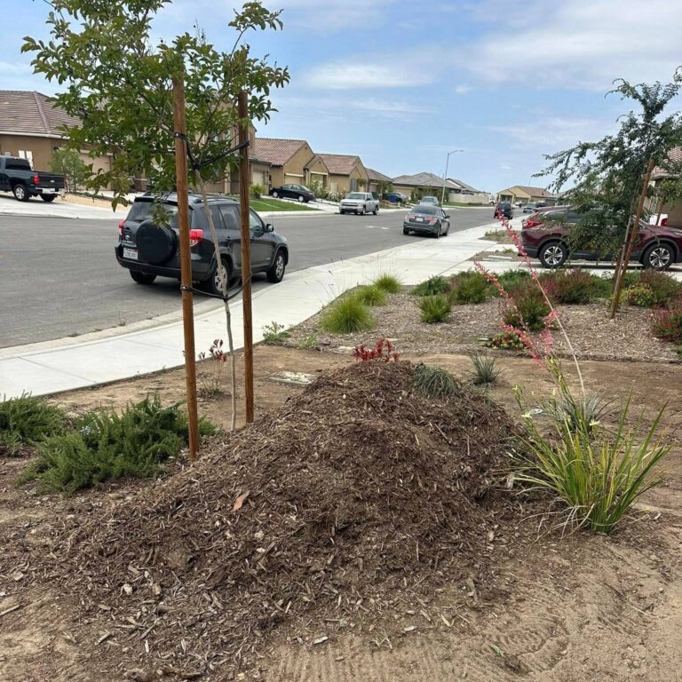 495152534_1328606928218352_3705122795870350992_n